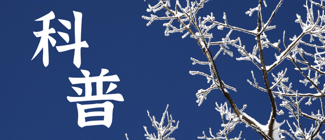 科普 | 冬季雨雪天氣?；愤\(yùn)輸車(chē)輛注意事項(xiàng)