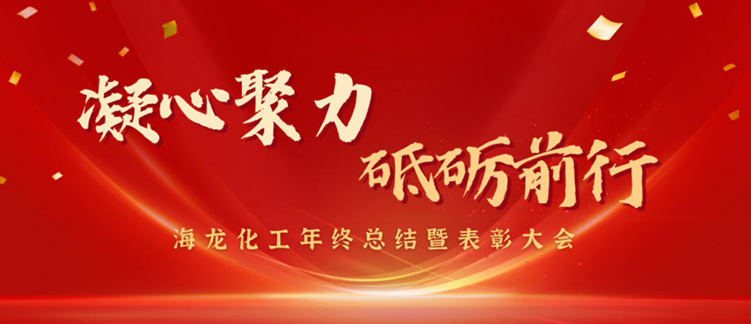 表彰 | 凝心聚力，砥礪前行，海龍化工年終總結(jié)暨表彰大會(huì)圓滿舉行