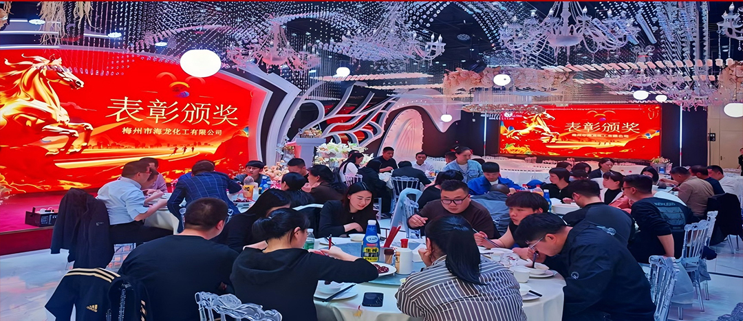騏驥開道，奮進新篇 | 海龍化工2025年終工作總結表彰暨團年晚宴圓滿落幕
